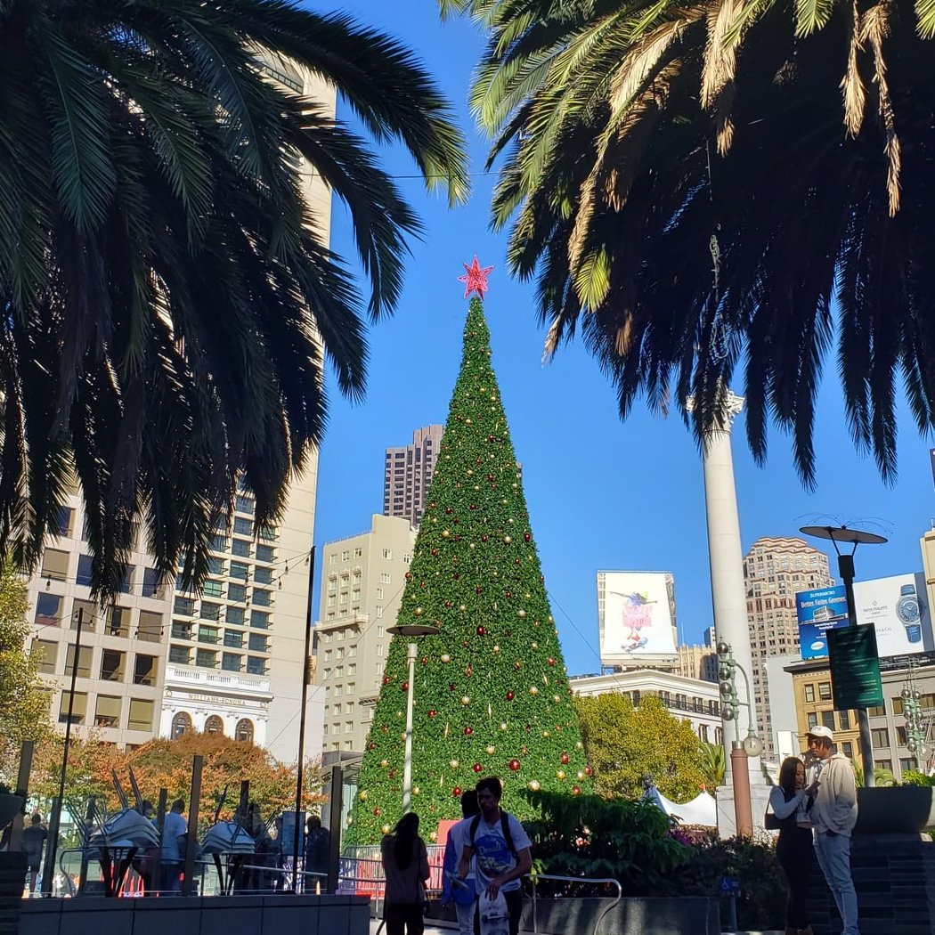Macy’s Tree Lighting 4