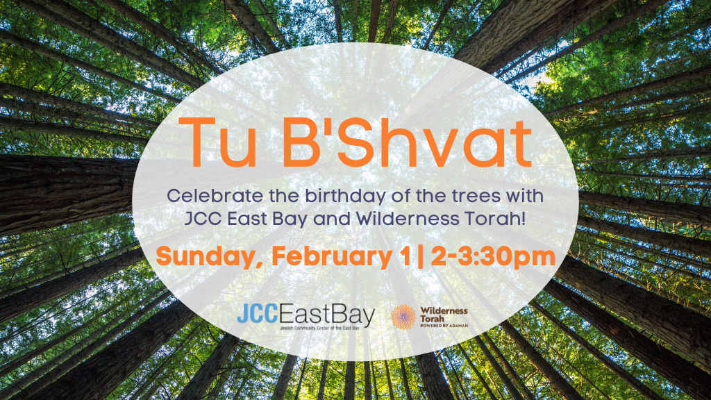 Tu B’Shvat Family Celebration 1