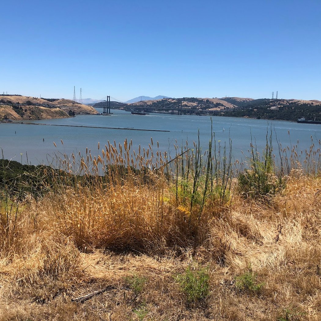 Highest Point Of Mare Island 2