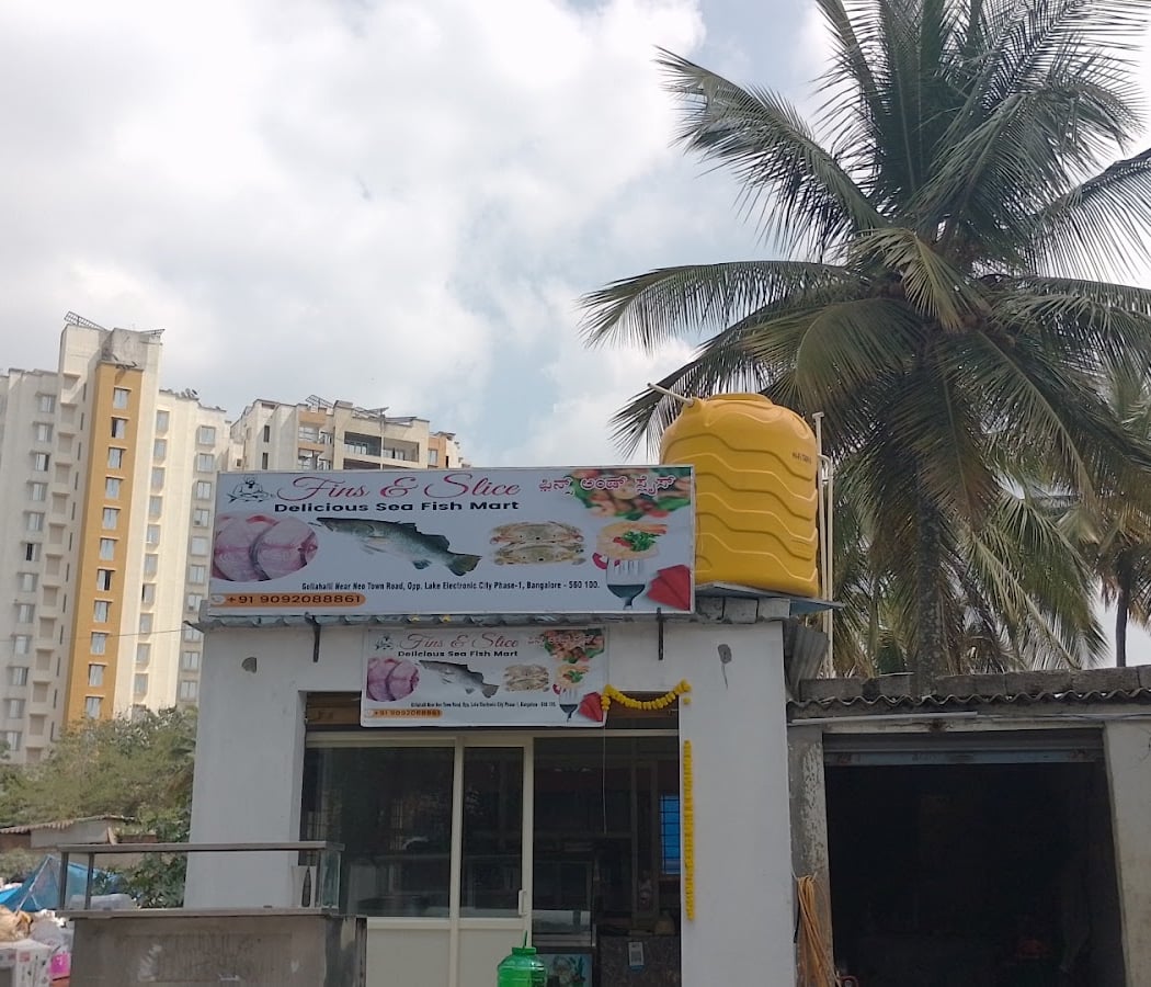 Fins and slice sea fish and sea fish restaurant 2