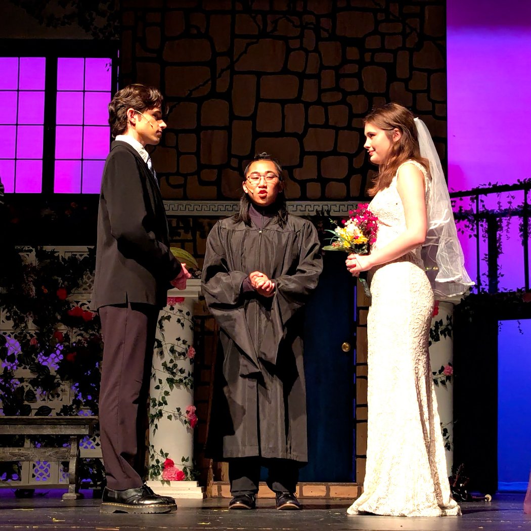 Terra Nova Theatre Arts 3