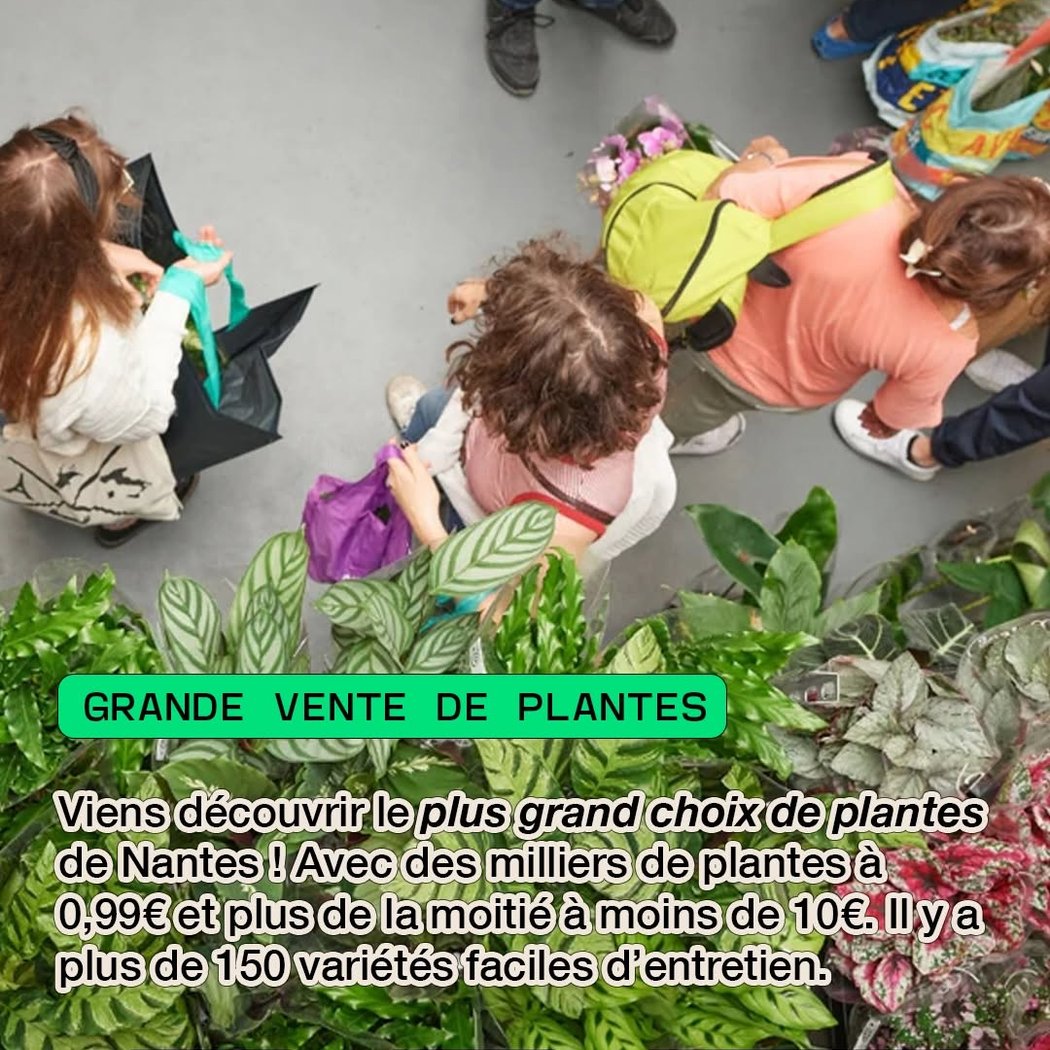 Grande Vente de Plantes 1