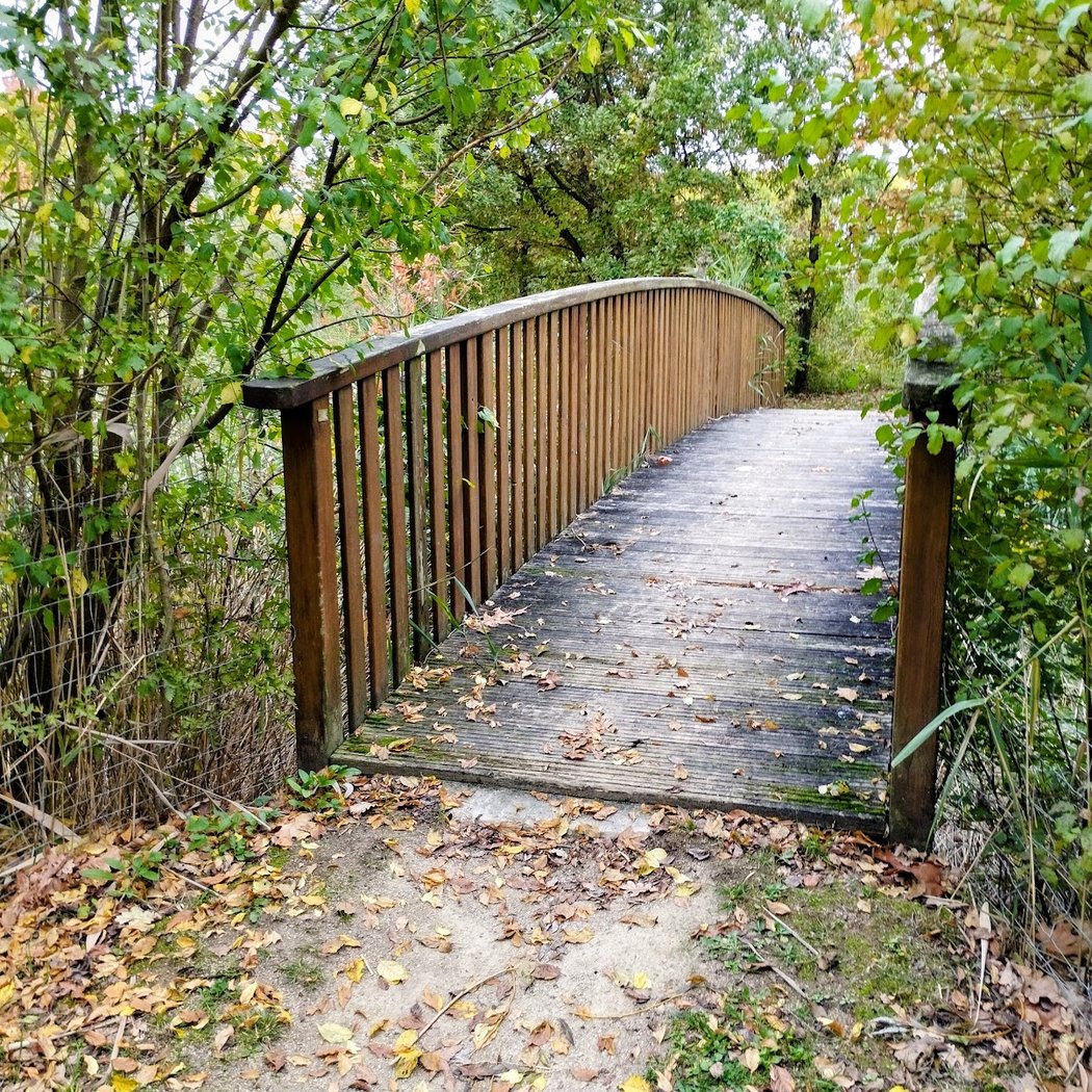 Parc Jean-Pierre Jousseaume 3