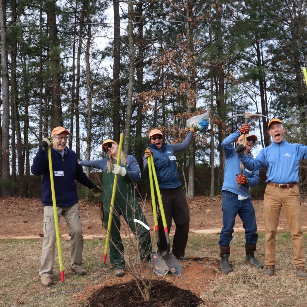 Vermillion HOA TreeDay 3
