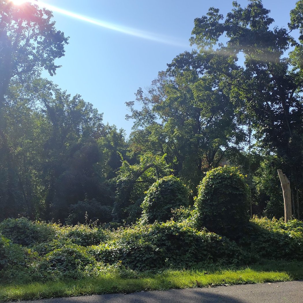 South County Trailway 3