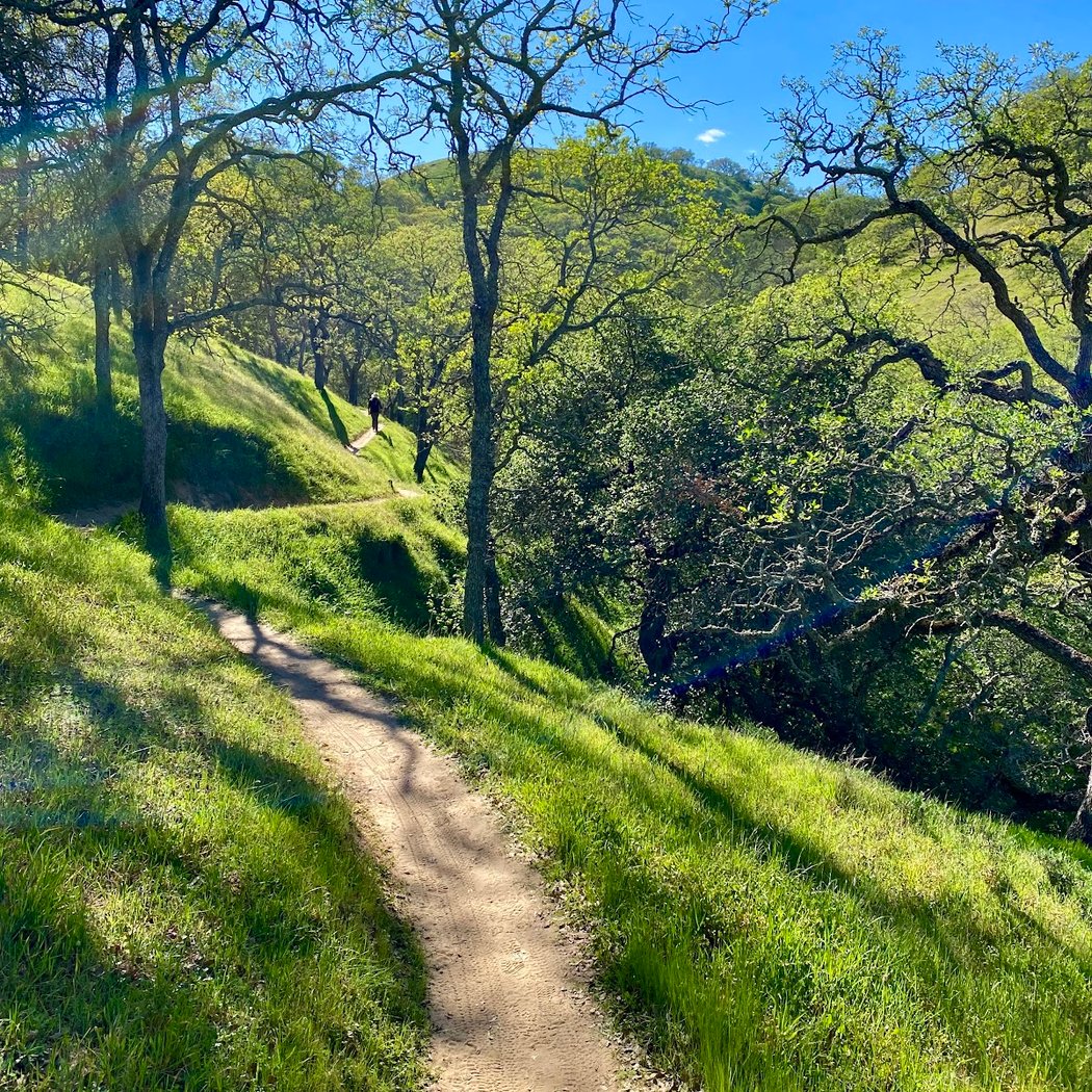 Shell Ridge 1
