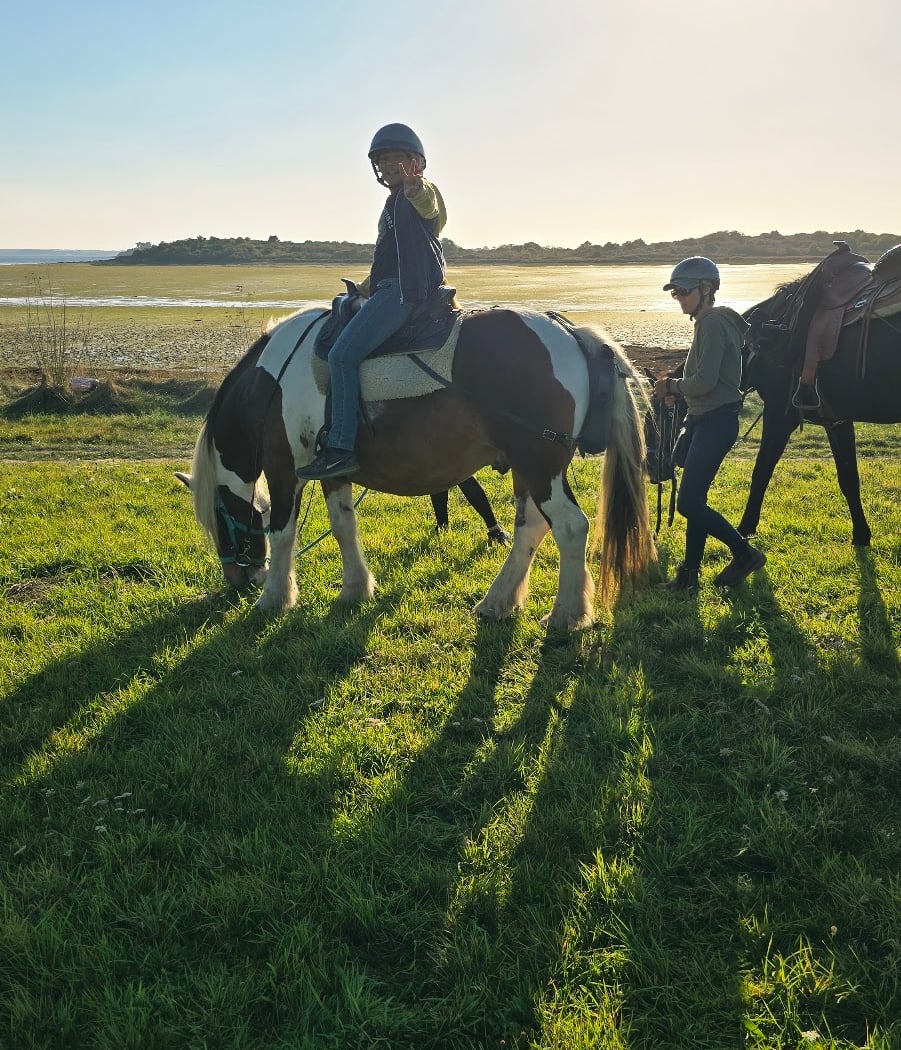 Balade à cheval golfe du morbihan 1