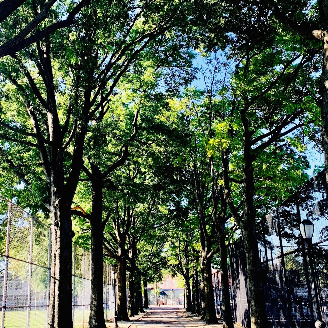 Kissena Corridor Park 1