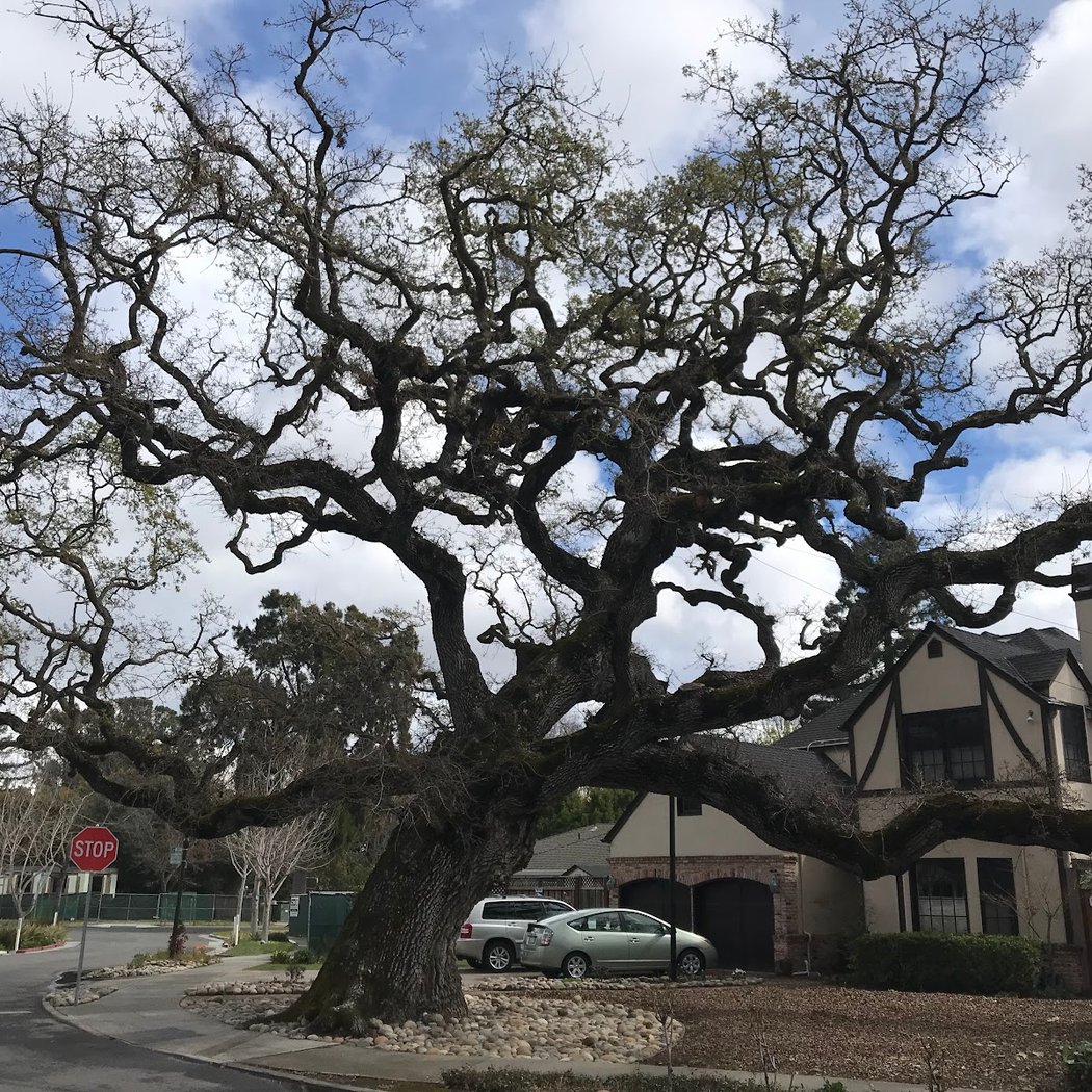 Volunteer Outside with Grassroots Ecology 1