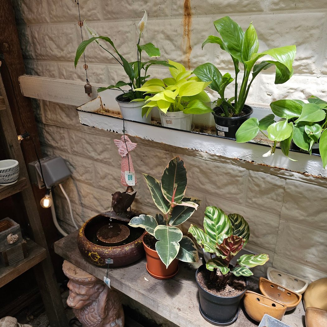 Natural Creations 1