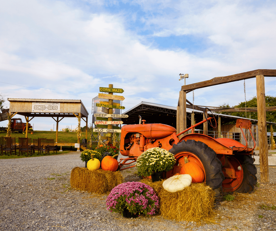 Fall Fun at Cagle's Farm 2