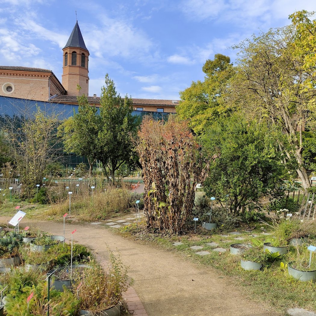 Jardin botanique Henri-Gaussen 3
