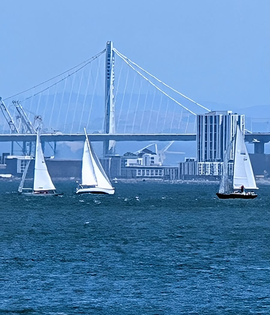 Sausalito Chamber of Commerce 3