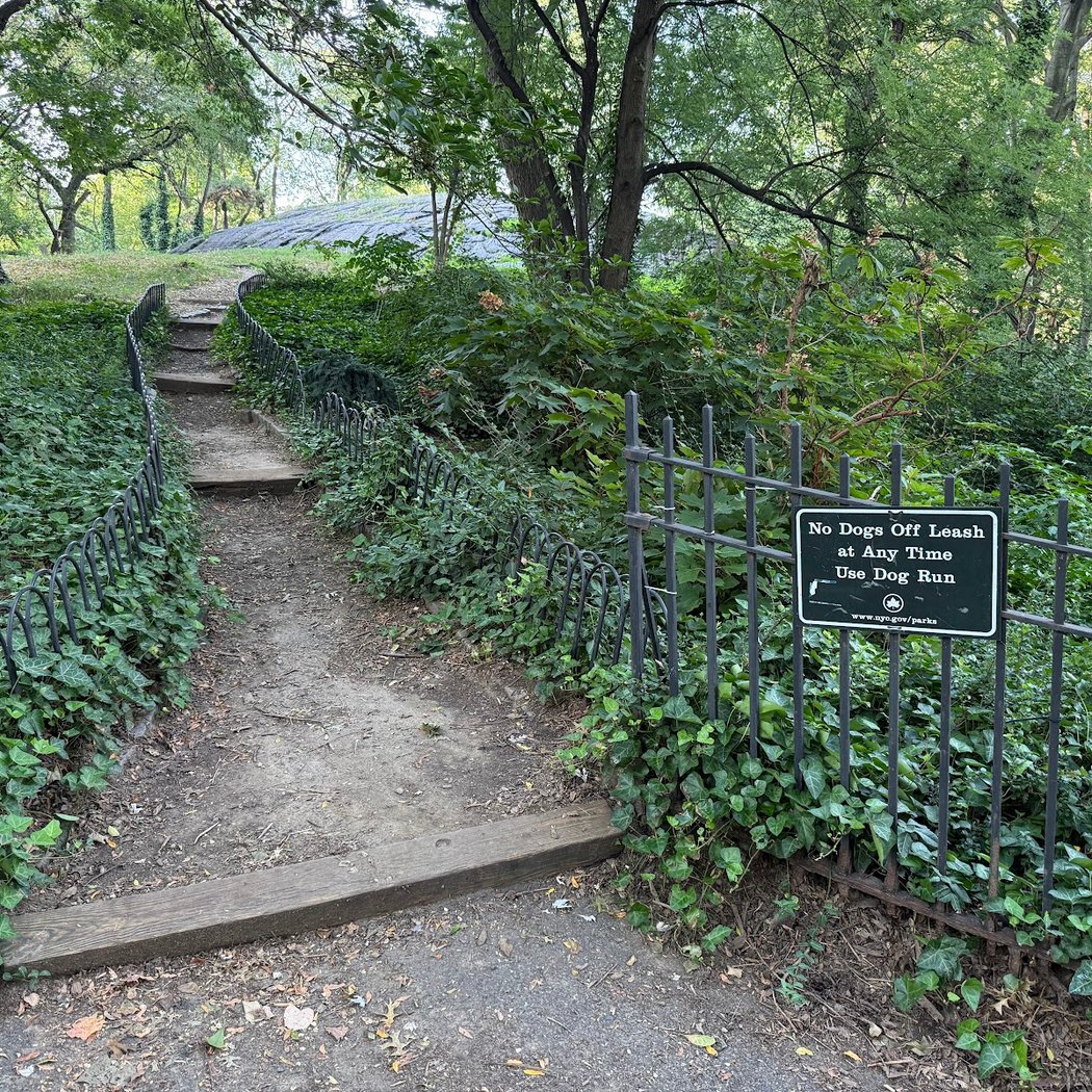 Mount Tom 3