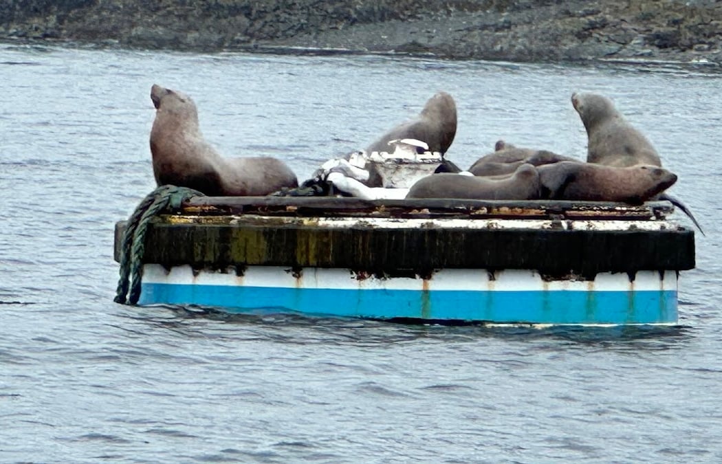 Custom Glacier and Wildlife Tours 3