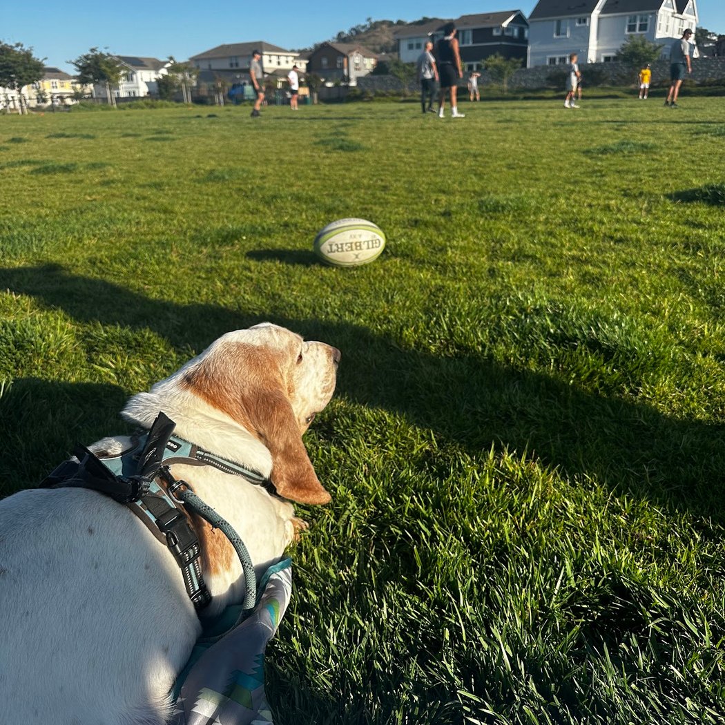 Petaluma Rugby Club Field 2
