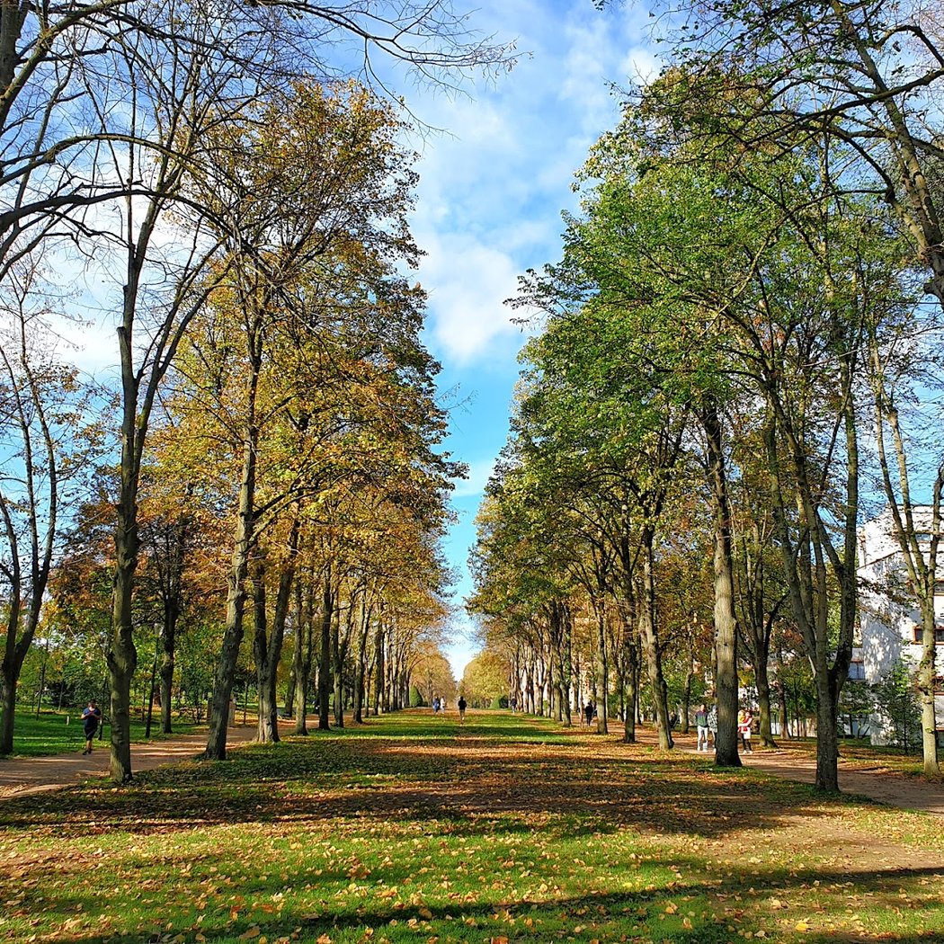 Jardins du monde en mouvement 3
