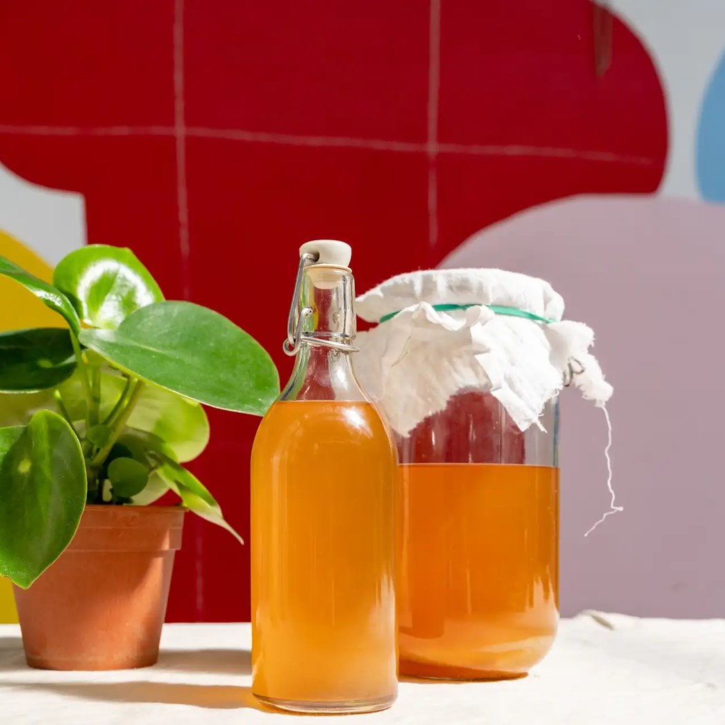 Atelier fermentation kombucha 1