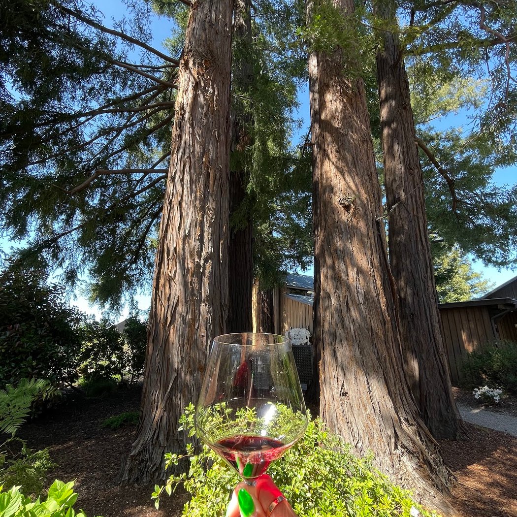 A Taste For Cabernet wine and food experience 2