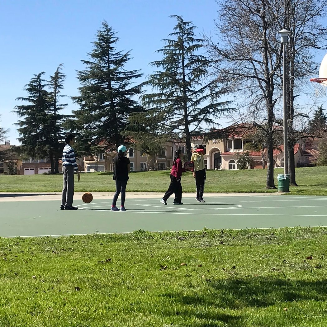 Cricket Nets | Northgate 3