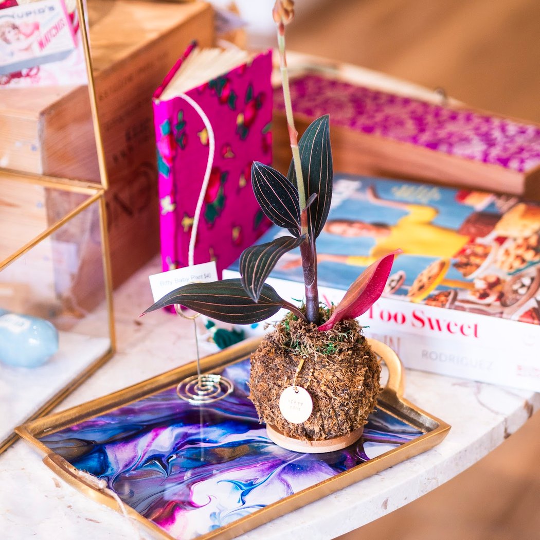 Creative Workshops and Summer Camps 1