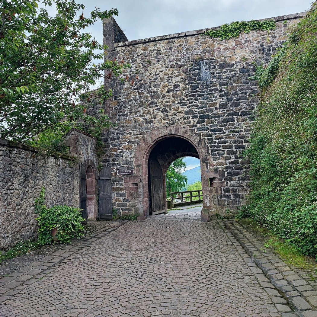 Porte de Saint-Jacques 1