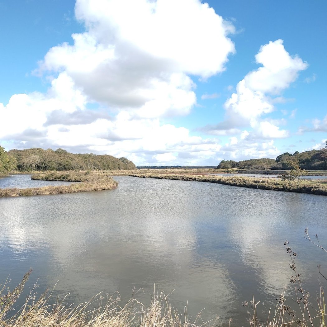 Marais salants du bassin de Mesquer 3