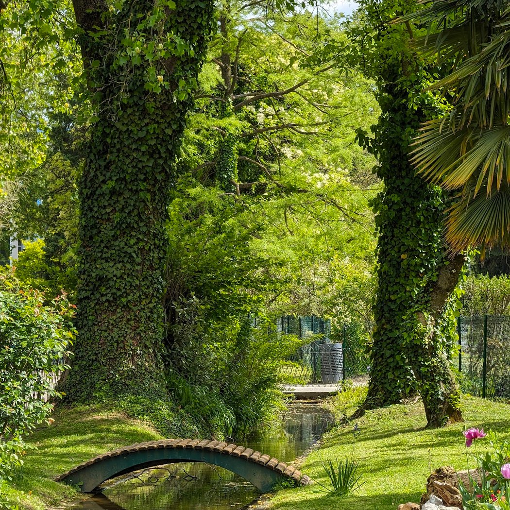 Jardin des Plantes 1