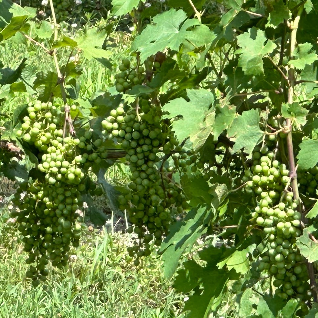 Hudson Valley Tours & Events 2
