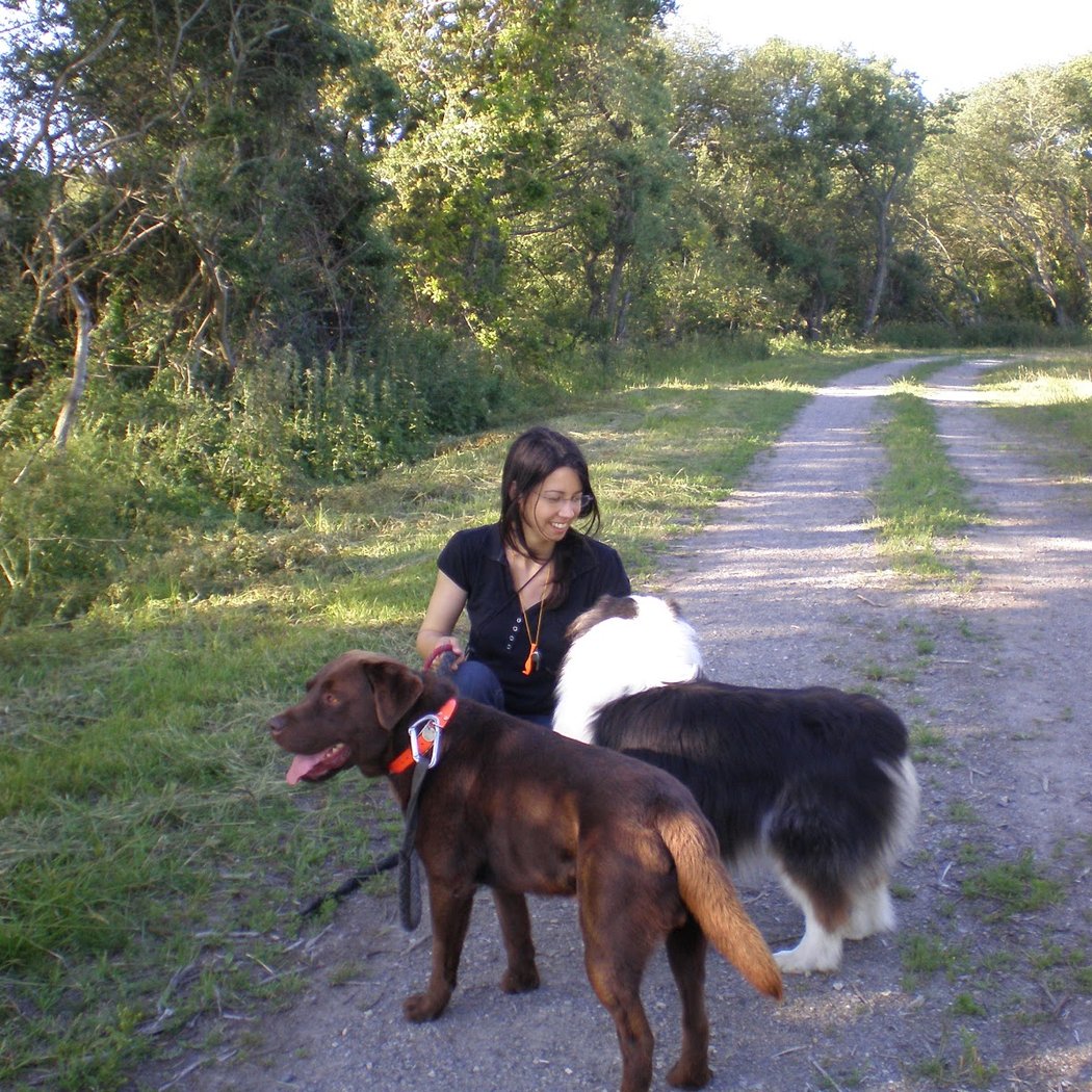 F'animo - Pension canine, visites à domicile. 2