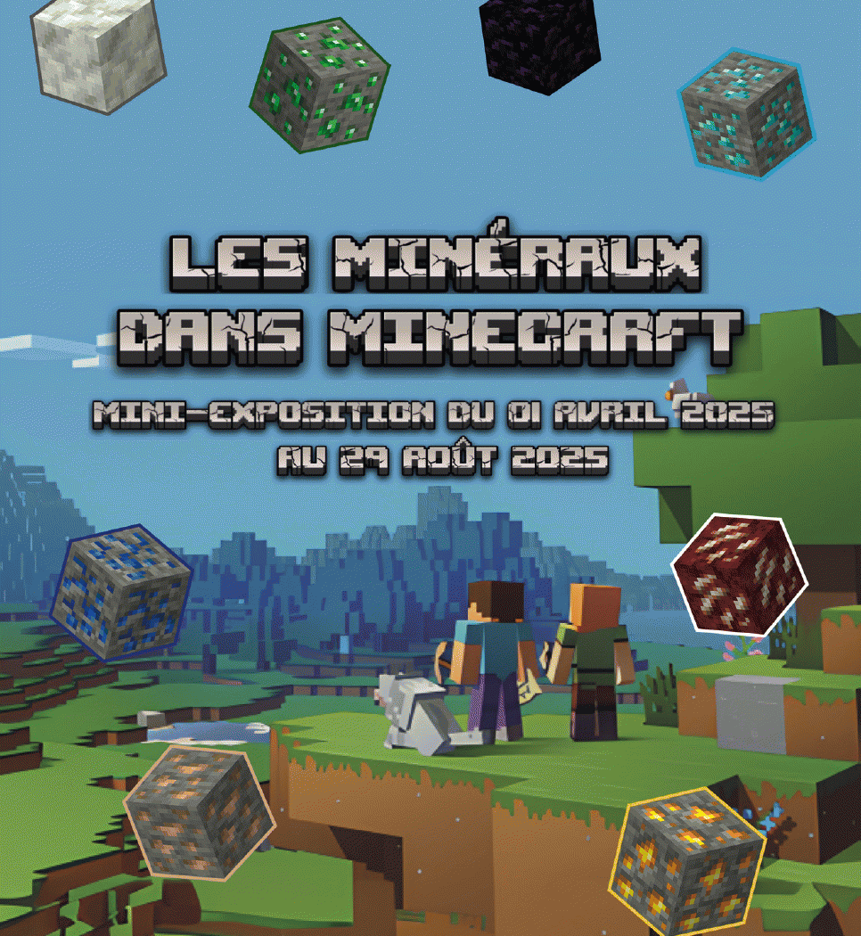 Les minéraux dans Minecraft 1