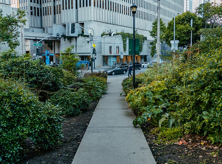Ferry Park 3