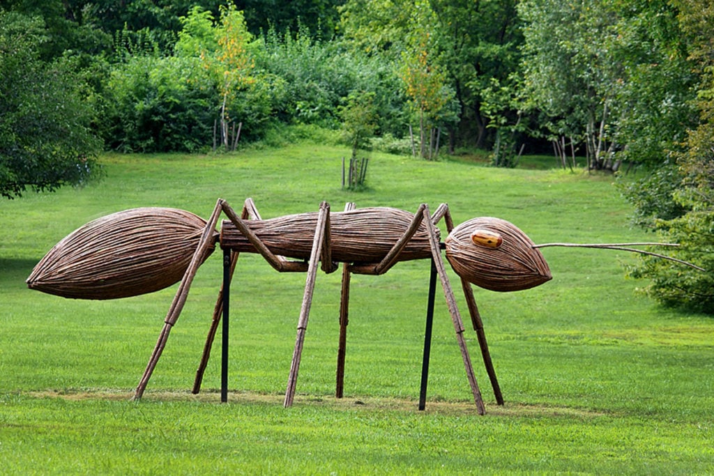 David Rogers: Big Bugs 2