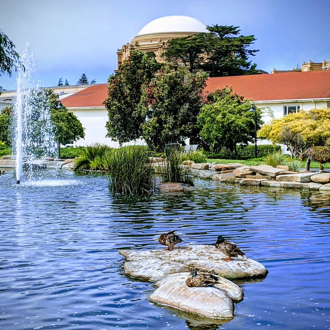 Letterman Digital Arts Center Recycled Water Pond at Lucas 1