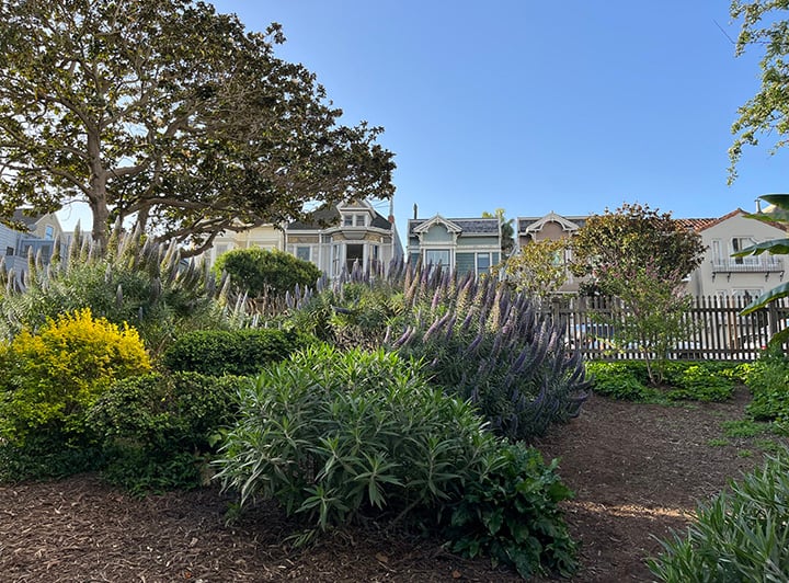 Allyne Park 1