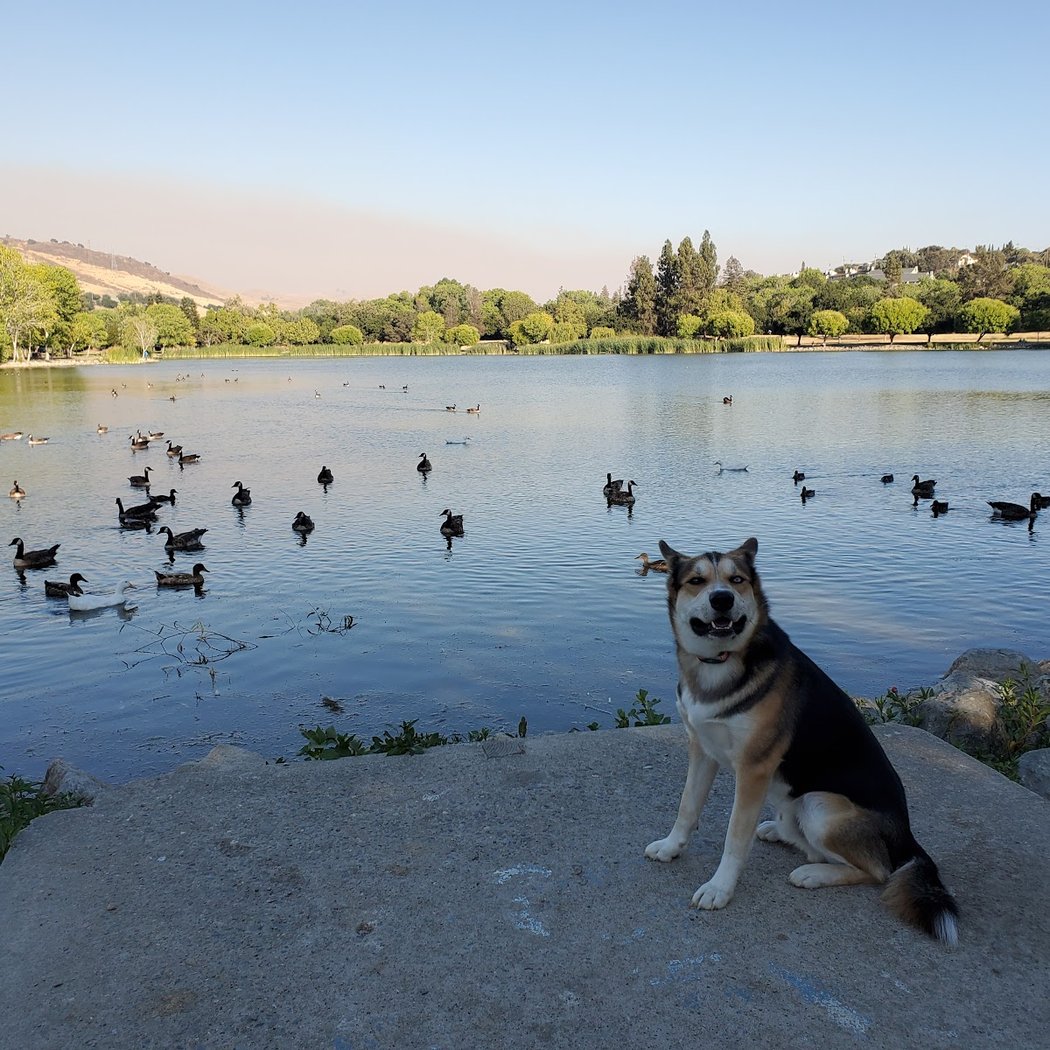 Cottonwood Lake 3