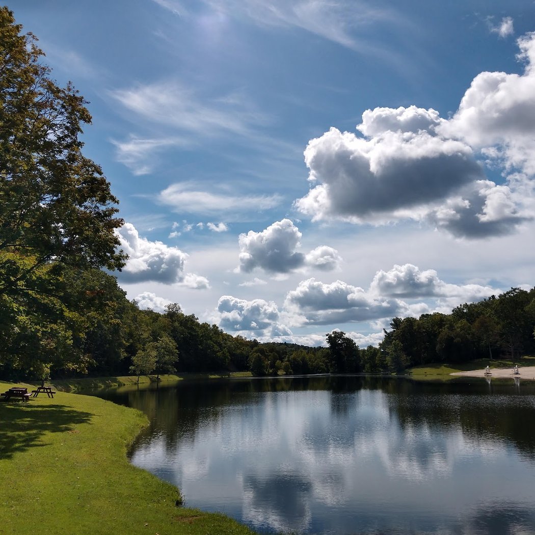 Wilcox Memorial Park 1