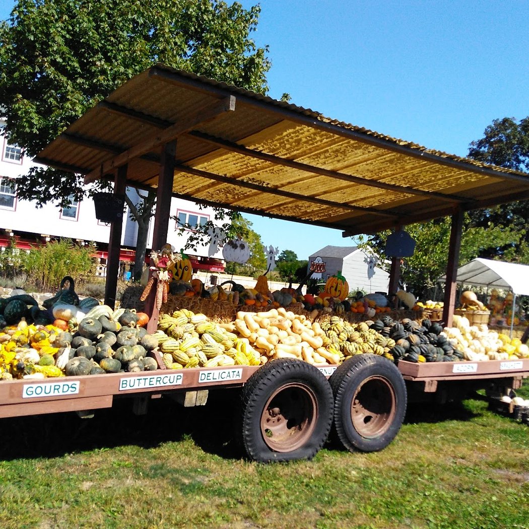 krupski farm 3