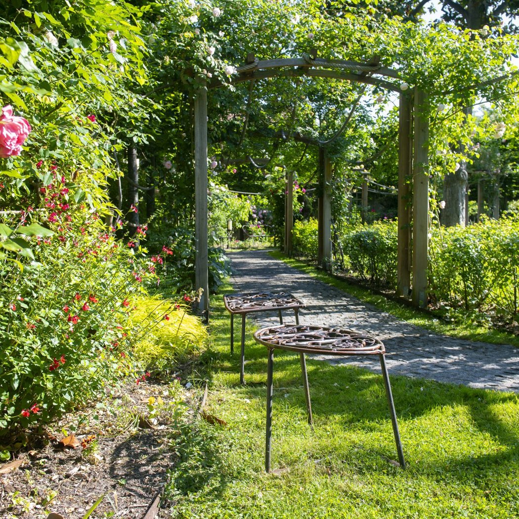 Visite du jardin : les plantes médicinales 1