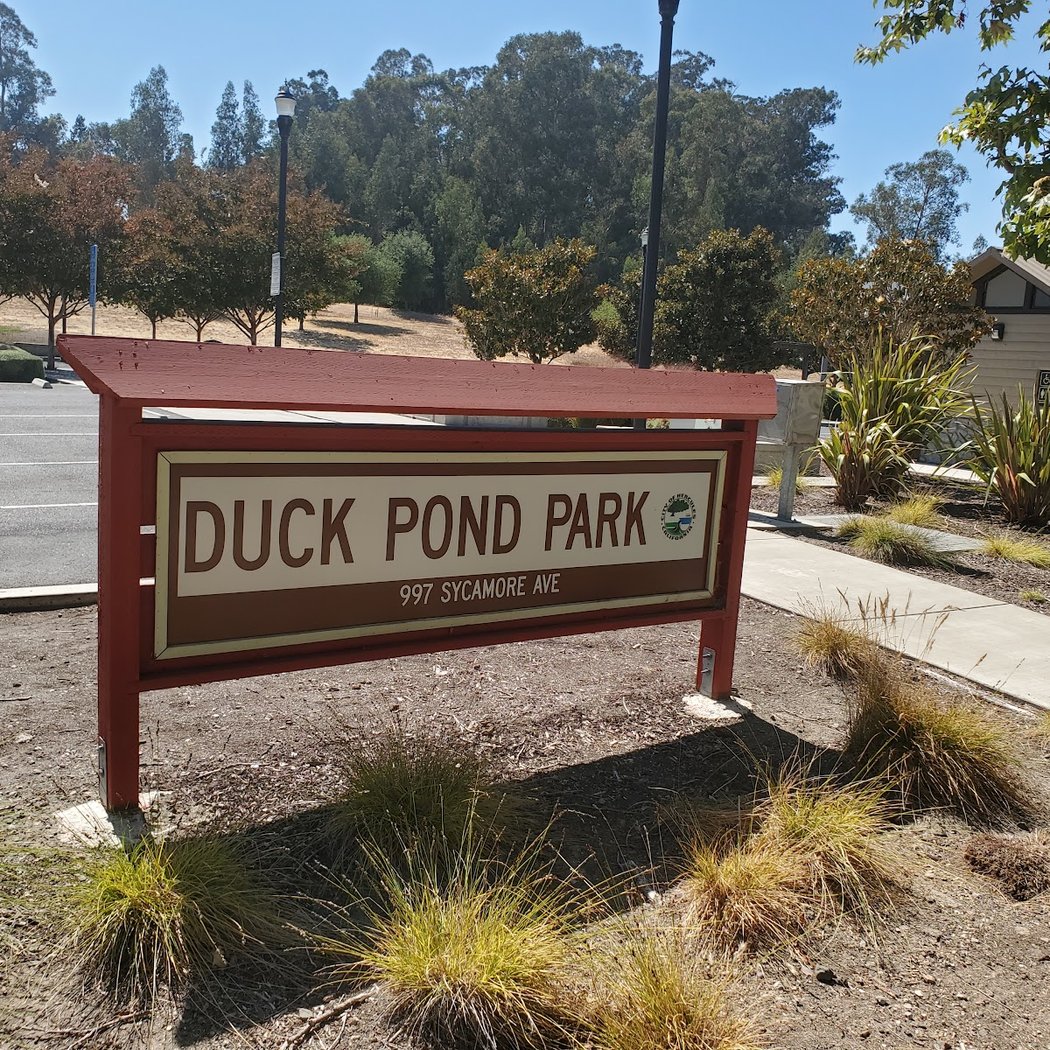 Duck Pond Park 2