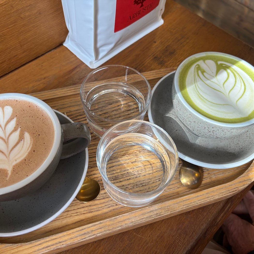 Arbuste Café Caen 3