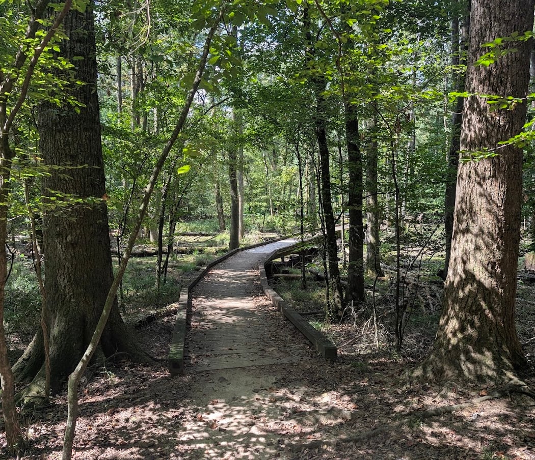 Flat Creek Nature Area 1