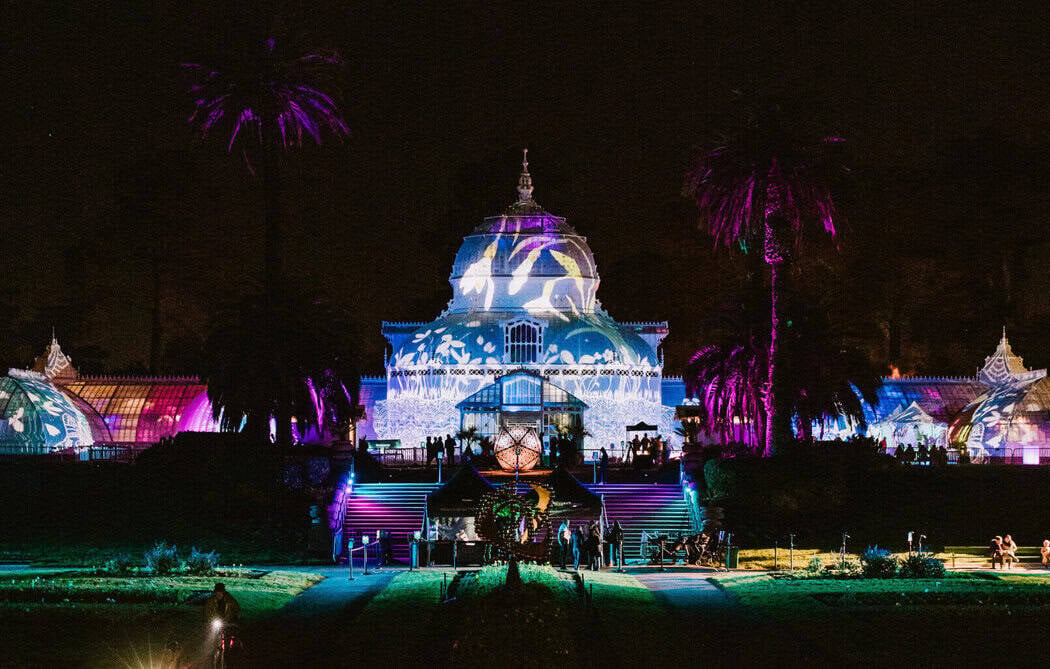 Photosynthesis Light Show 1