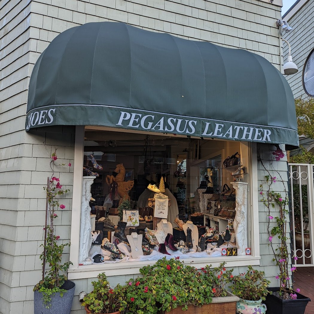 Pegasus Leather 2