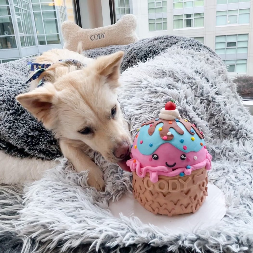 Paw Patch Pastries & Pet Boutique 1