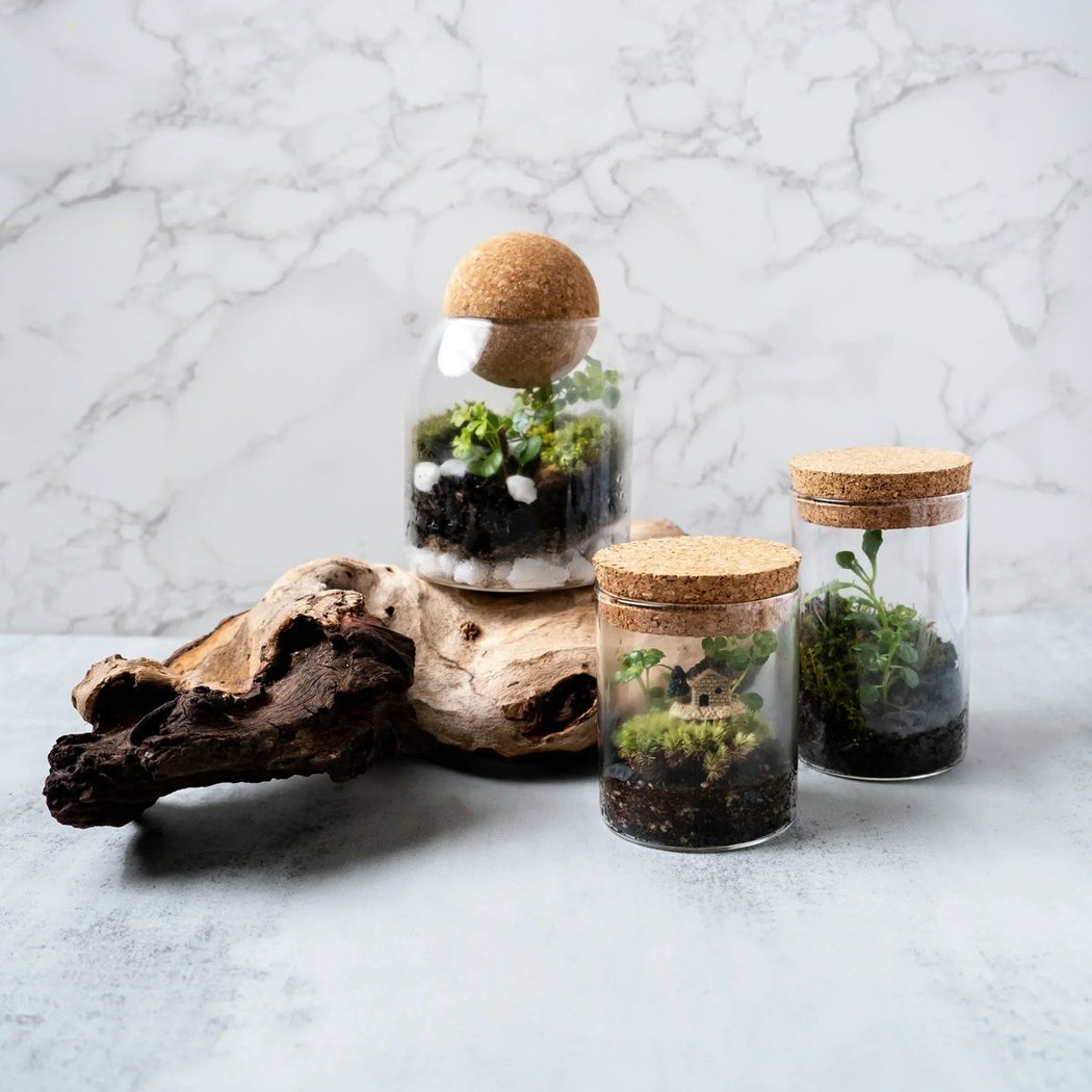 Make a Mini Terrarium – Team & Private Group Workshop 1