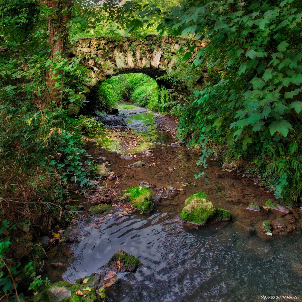 Mérantaise 1