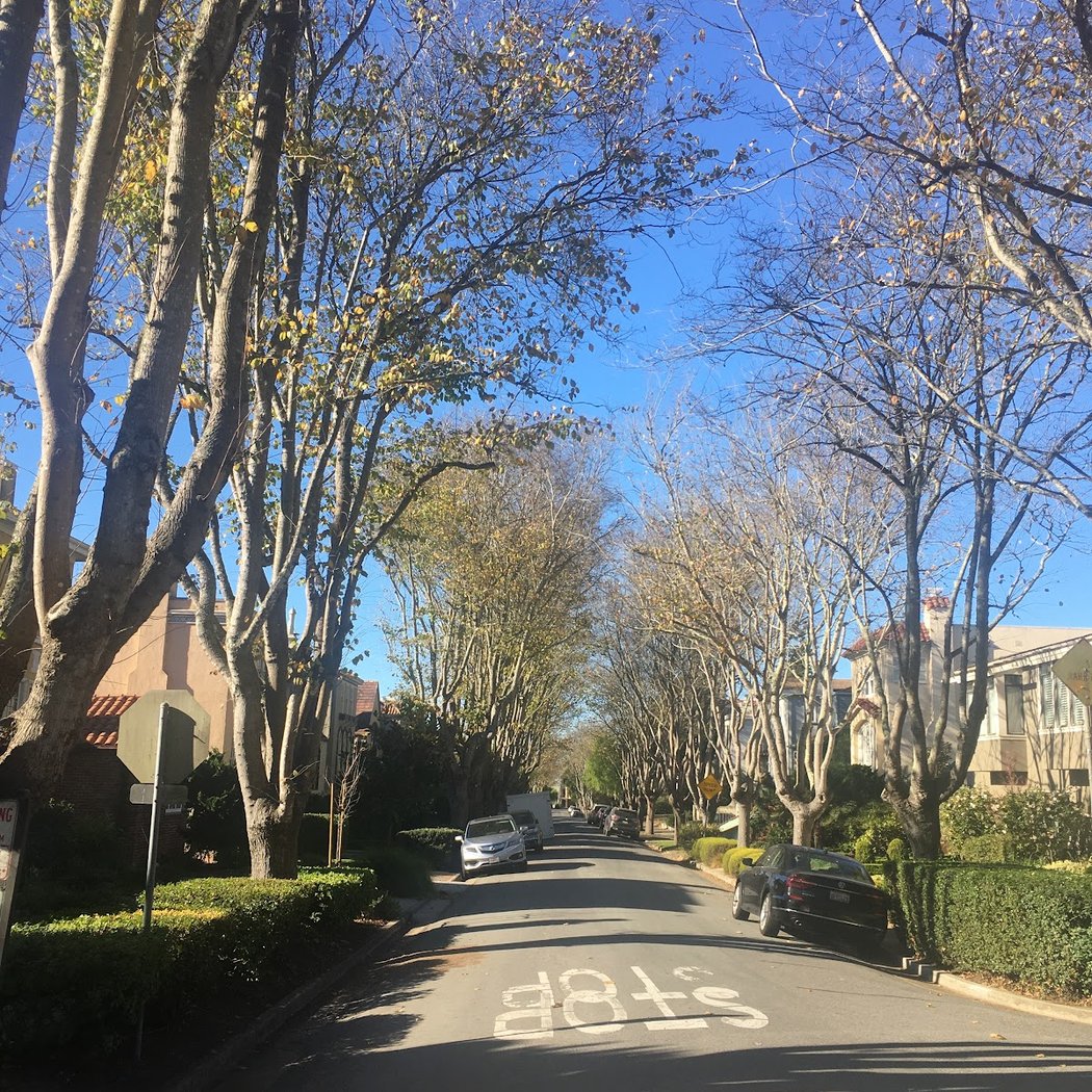 Forest Hill 5