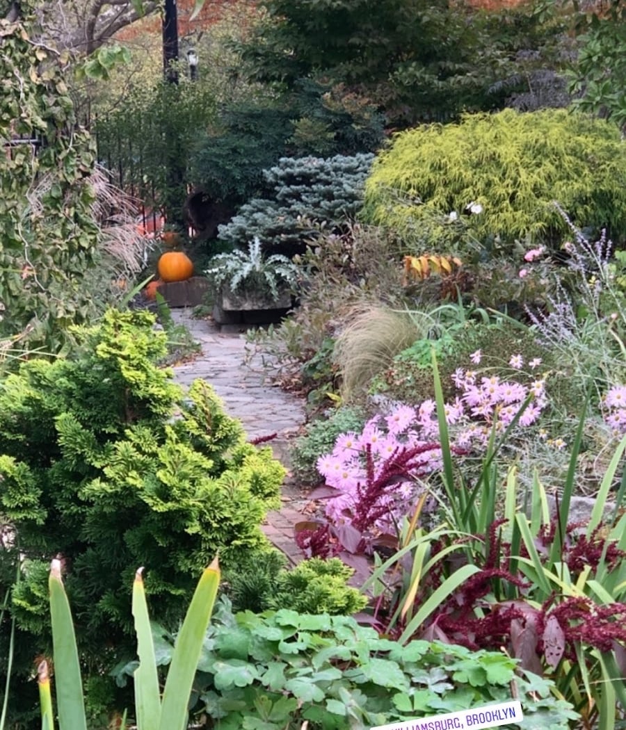 Green Dome Garden 2