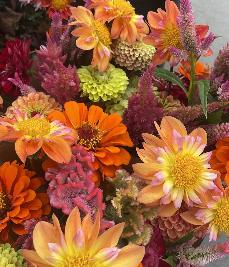 Fair Haven Farmers Market 2